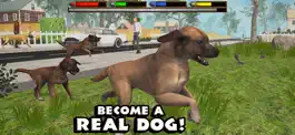 Game screenshot Ultimate Dog Simulator mod apk