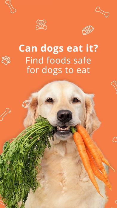 Can Dogs Eat It Screenshot