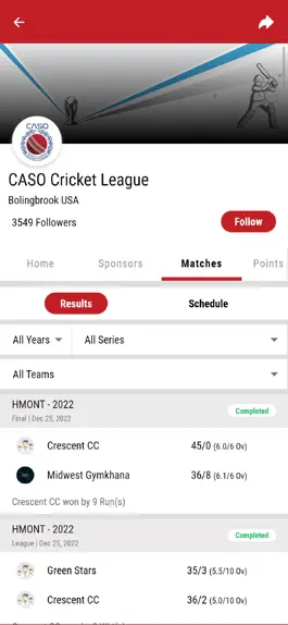 Game screenshot Caso Cricket League hack