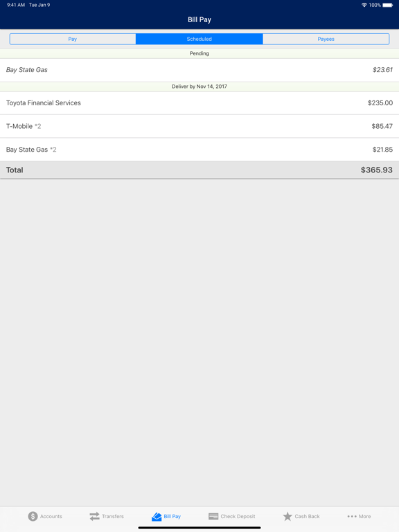 Kings FCU Mobile iPad screenshot 3 - Finance app