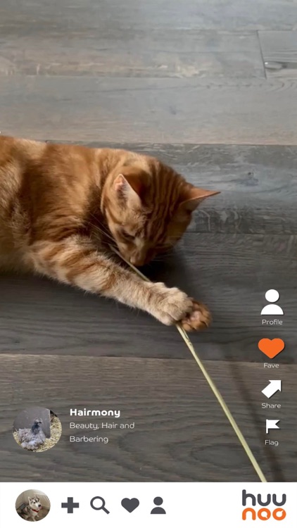 Huunoo - The Business Bio App