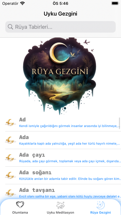 Rüyanın Melodisi Screenshot