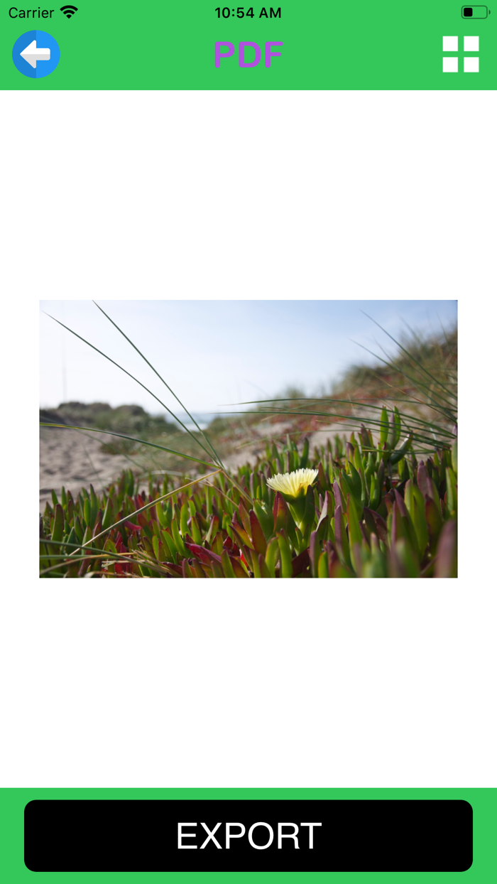 سم صورة متعددة التوليف