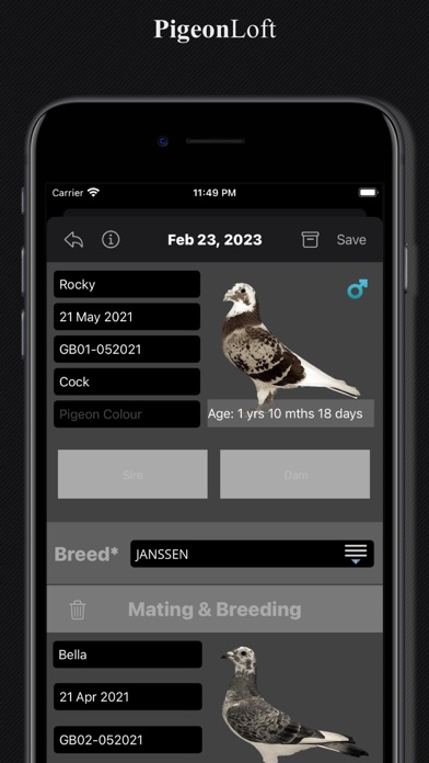 PigeonLoft Screenshot