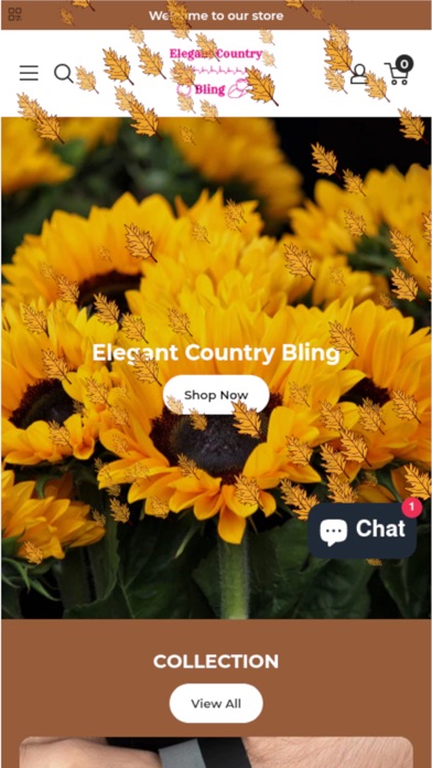 Elegant Country Bling Screenshot