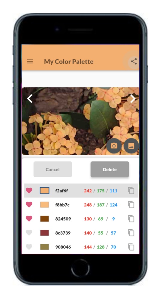 #6. My Color Palette with Photos (iOS) 게시자: Yasuko Takayashiki