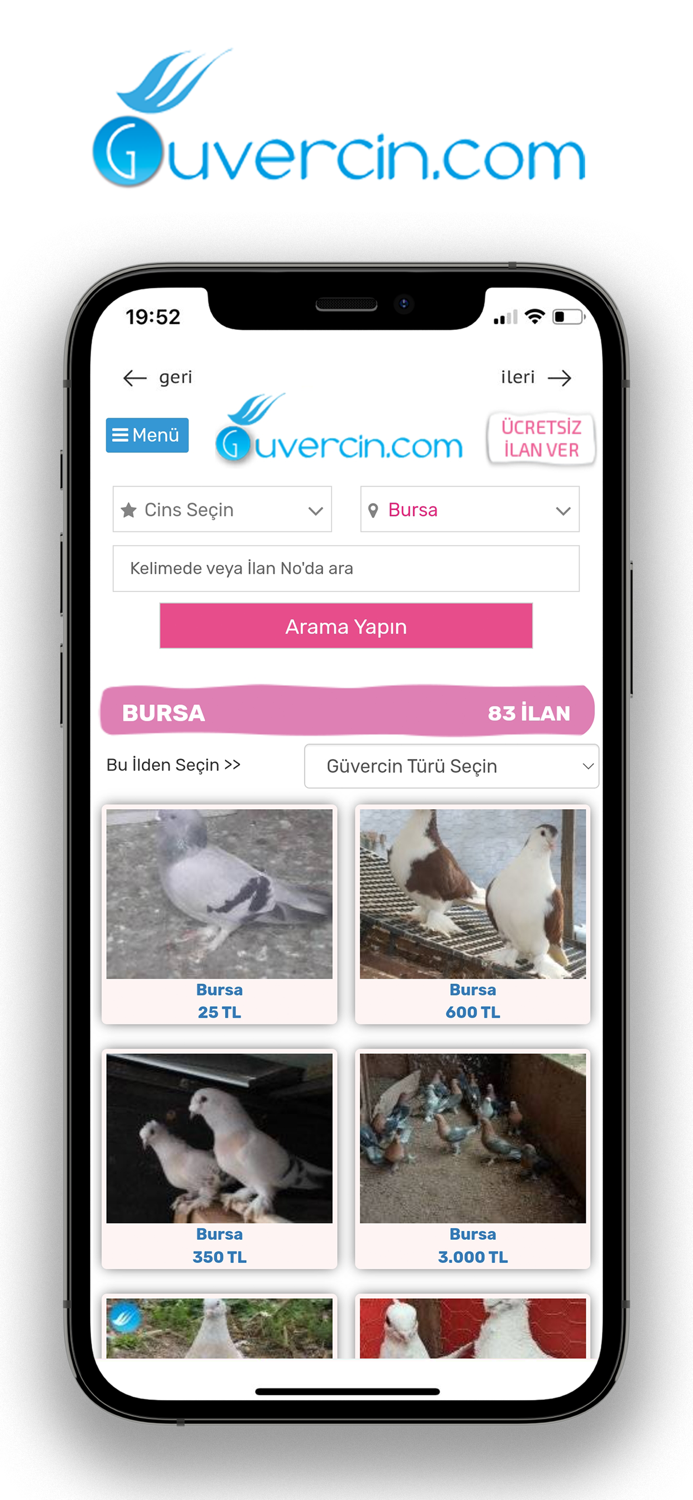 GUVERCiN.COM Güvercin İlanları