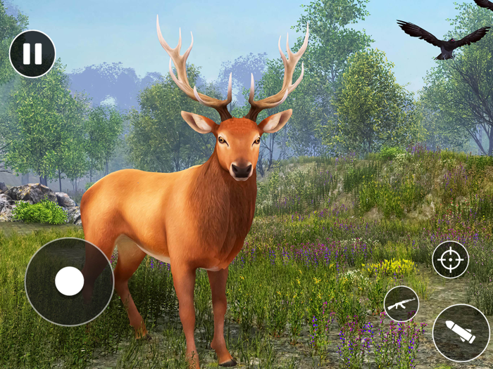 Wild AnimalDeer Hunting Games