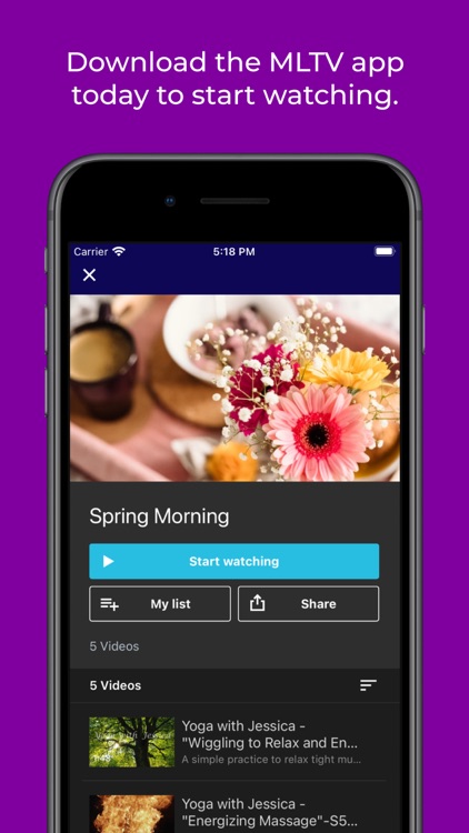 Memory Lane TV screenshot-3