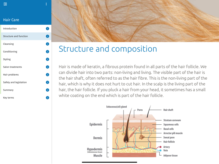 SCS Cosmetic Learning