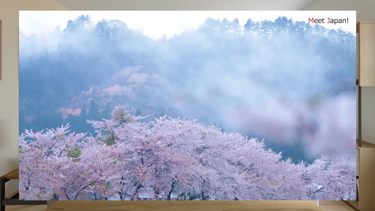 Meet Japan! screenshot 3