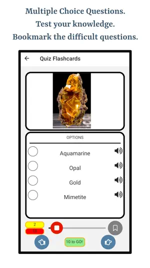 Learn About Gemstones screenshot 3