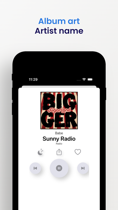 Detroit Radio Stations Live FM Screenshot