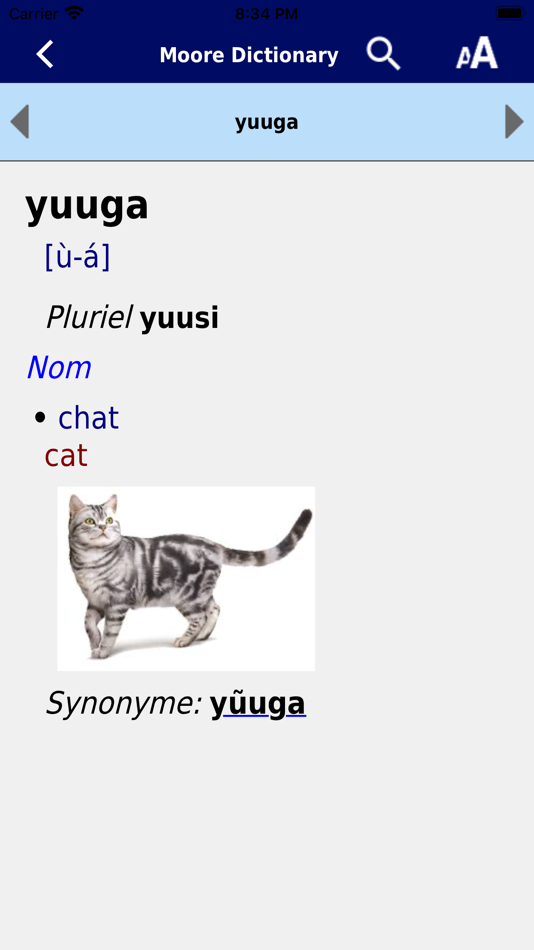#2. Moore Dictionary (iOS) 由: Urs Niggli