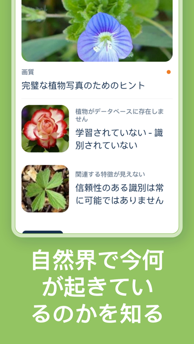 Flora Incognitaのおすすめ画像5