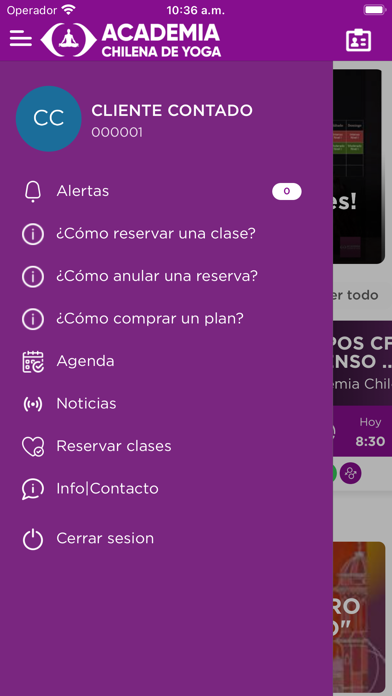 Academia Chilena De Yoga Screenshot