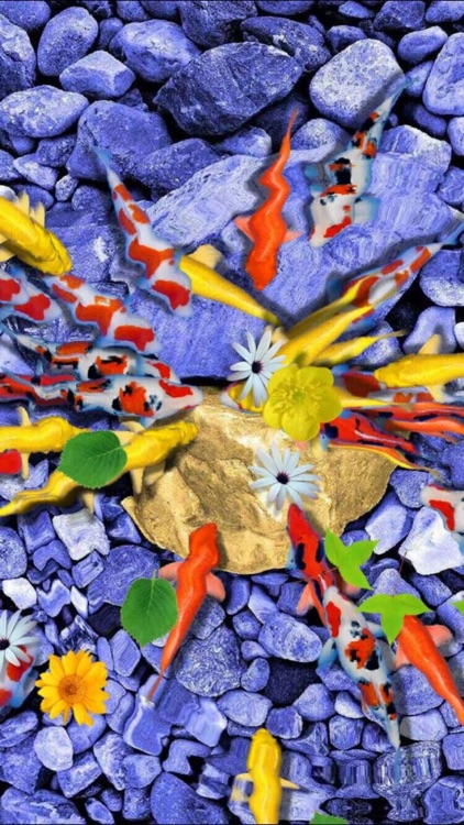 Pond Koi－Decompress and relax! screenshot-0