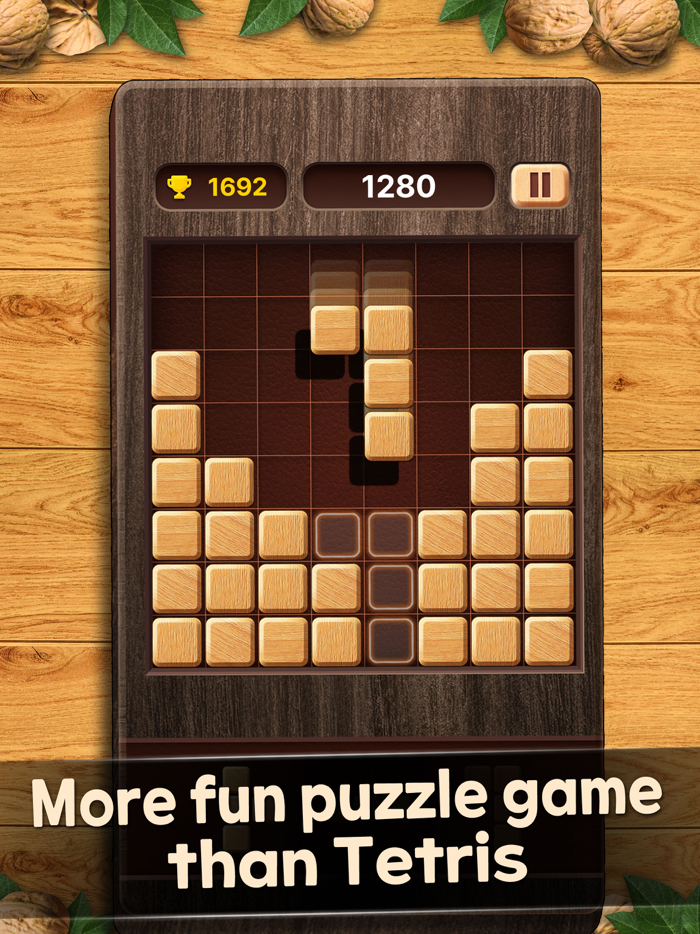 Walnut Wood Block Puzzle