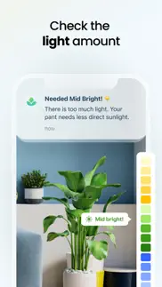 plant app: plant identifier problems & solutions and troubleshooting guide - 4
