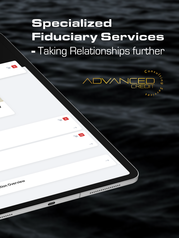 Advanced Credit Consulting+ iPad screenshot 2 - Business app