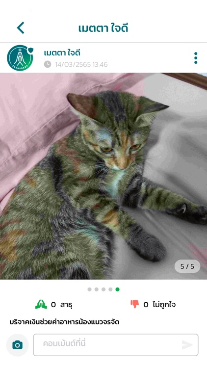 DSongboon screenshot-5