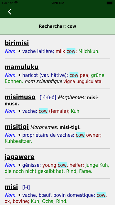 Dioula Dictionary Screenshot