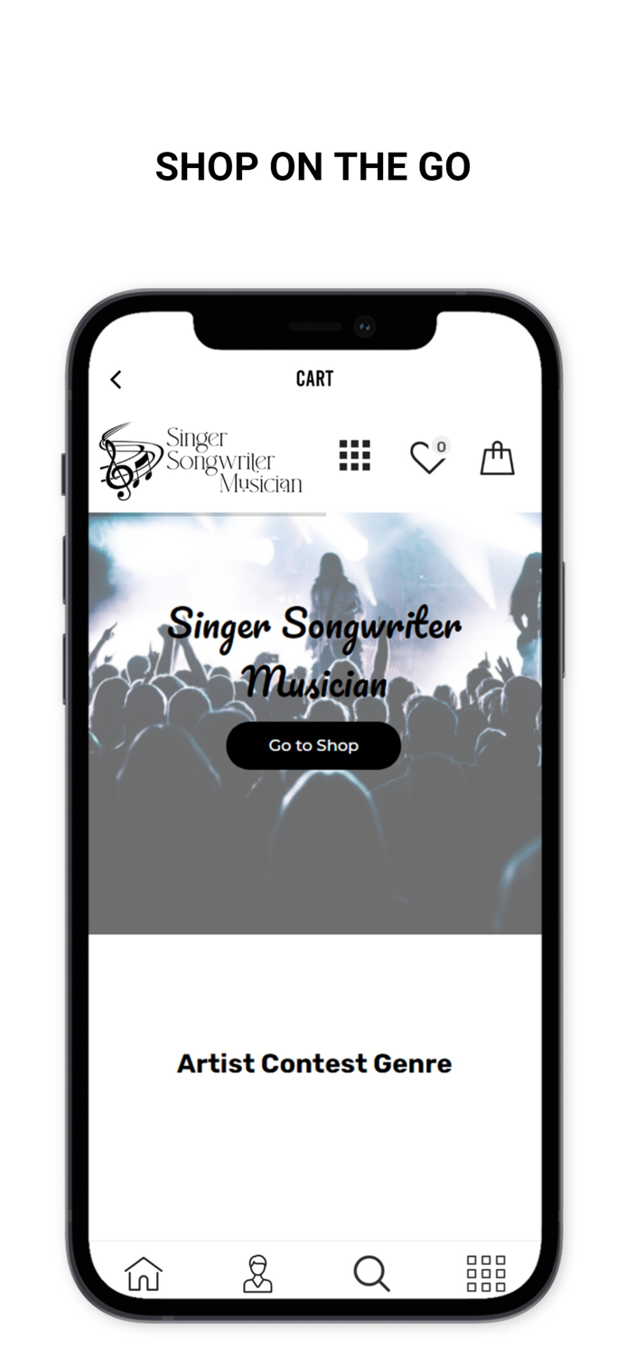 Singer Songwriter Musician