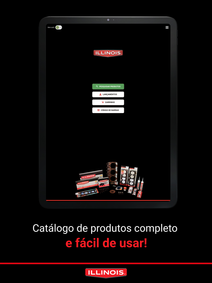 Illinois catálogo Ideia 2001