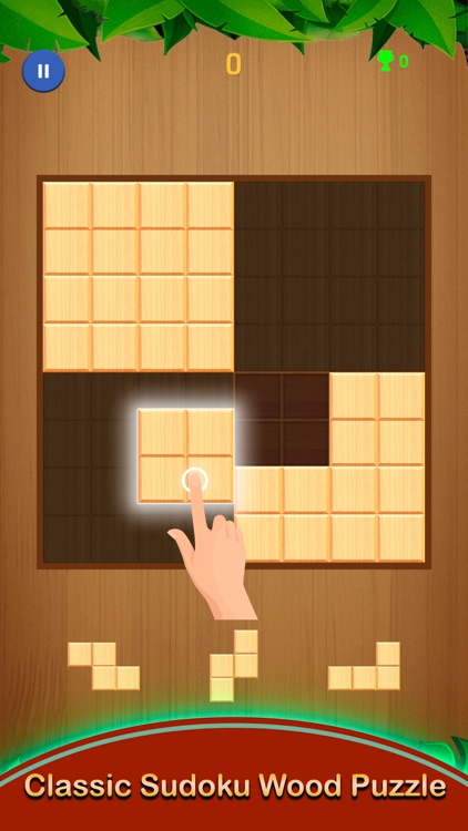 Sudoku: Wood Grid Block Puzzle