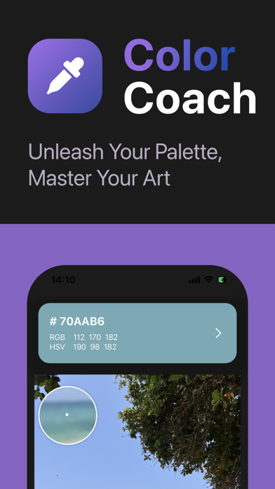 Color Coach Screenshot