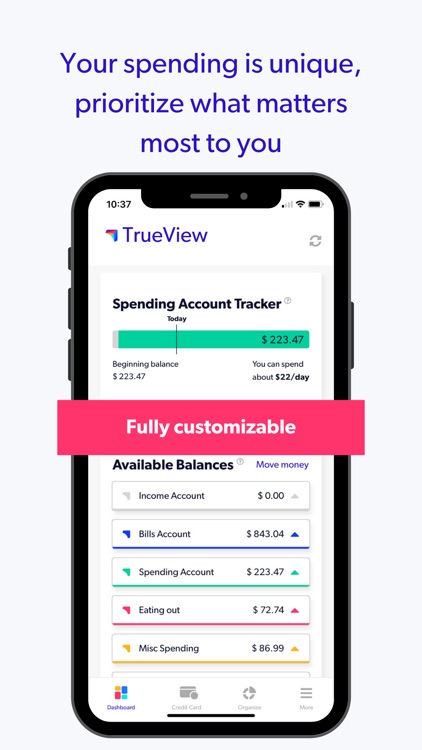 TrueView:Crazy Simple CashFlow screenshot-7