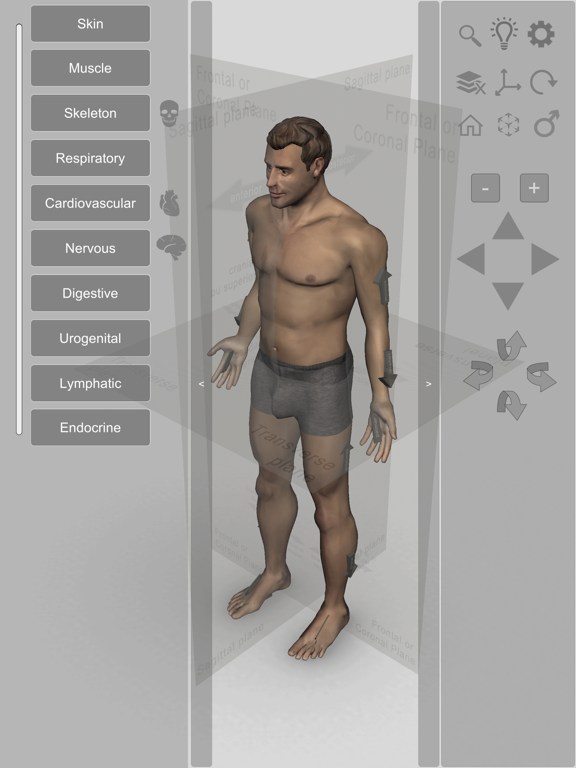 Screenshot #4 pour Introdução Anatomia Humana 3D