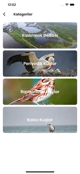 Game screenshot Kızılırmak Kuşları apk