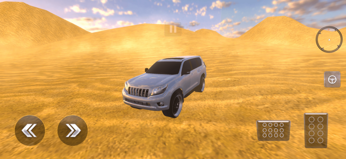 Luxury LX Prado Desert Driving