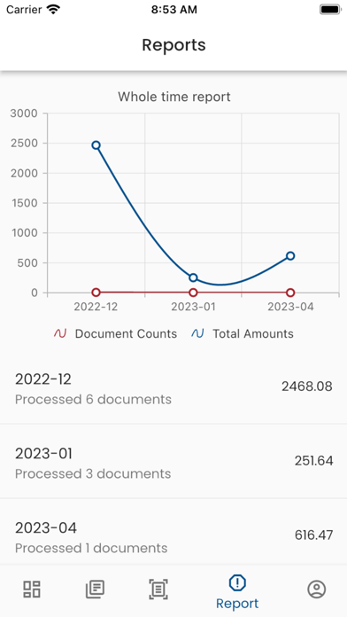 eRaudit Screenshot