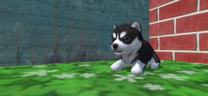 Cute Pocket Puppy 3D screenshot #1 for iPhone