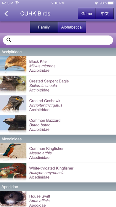 中大鳥  Birds of CUHK Screenshot