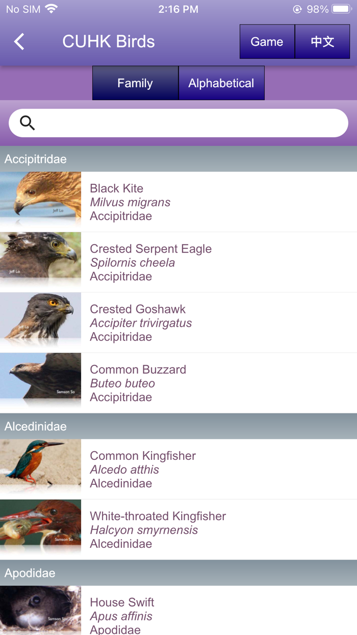 中大鳥  Birds of CUHK