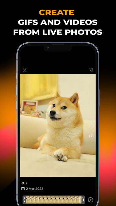 Live Photo Converter GIF Maker Screenshot