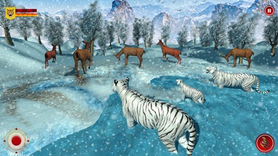 野生 雪 トラ サファリ 動物のおすすめ画像5