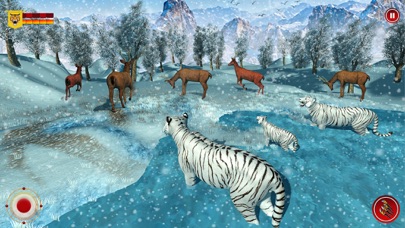Wild Snow Tiger Safari Animal Screenshot