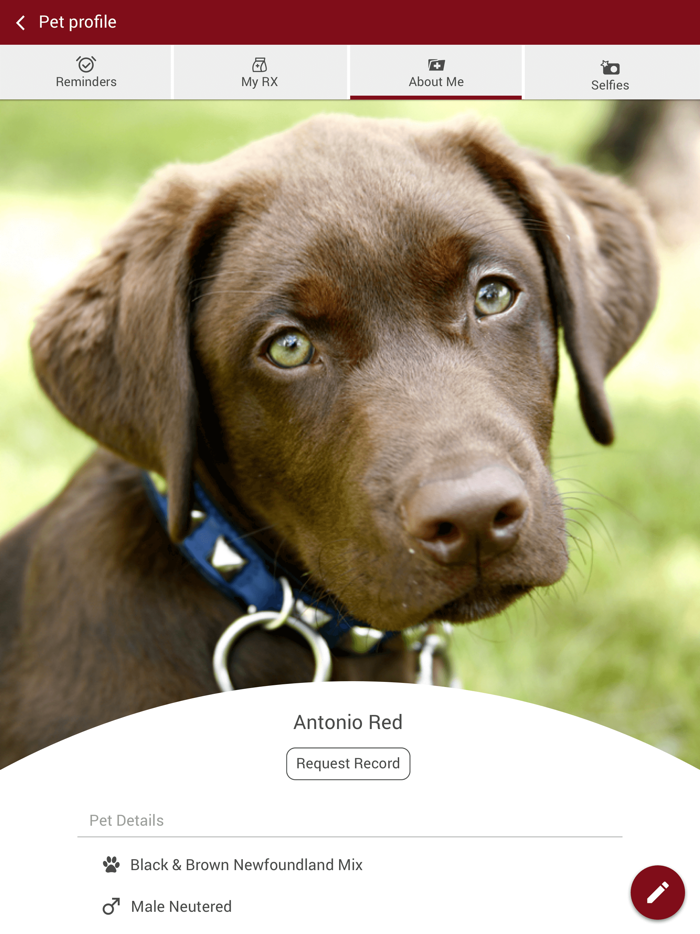 Riverside Animal Hospital