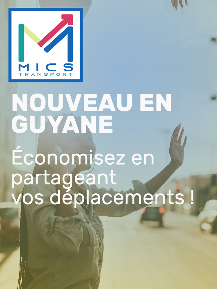 Micstransport Passanger