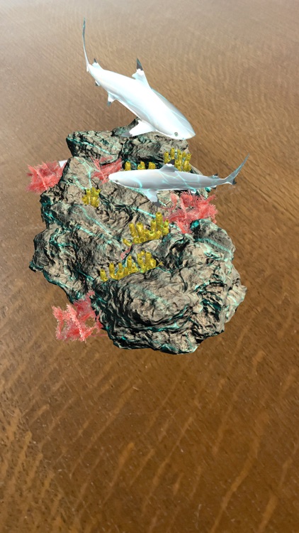 National Notes screenshot-5