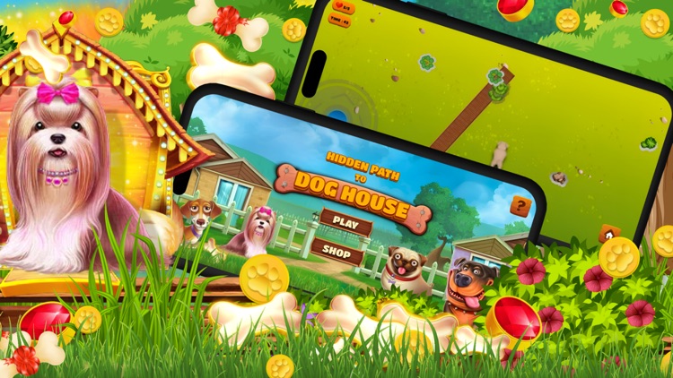 Hidden Path To Dog House