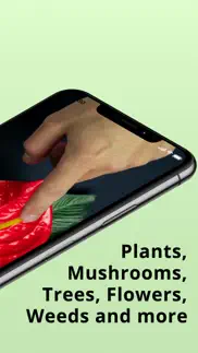 plantion - plant identifier iphone screenshot 2