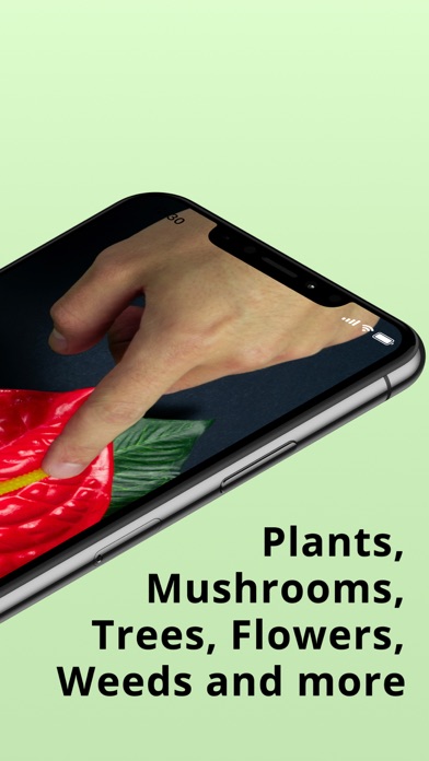 Plantion - Plant Identifier Screenshot