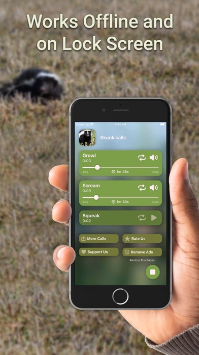 Hunting Calls: Skunk Screenshot