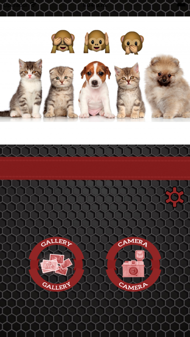 Emoji stickers to photos Screenshot