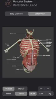 human anatomy study guide iphone screenshot 4